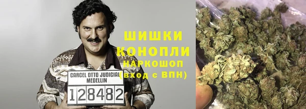 дживик Абаза