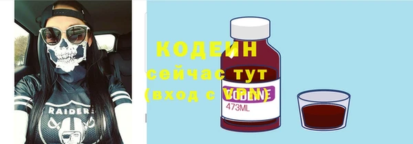 дживик Абаза