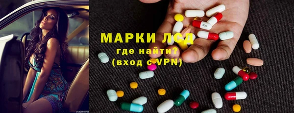 гашик Алексин