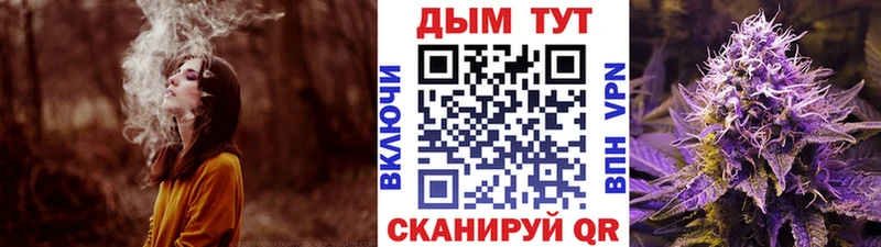 где найти Яхрома Бошки Шишки MAZAR